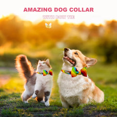 Collar arcoíris Tunkoo ajustable, talla mediana, cómodo para caminatas