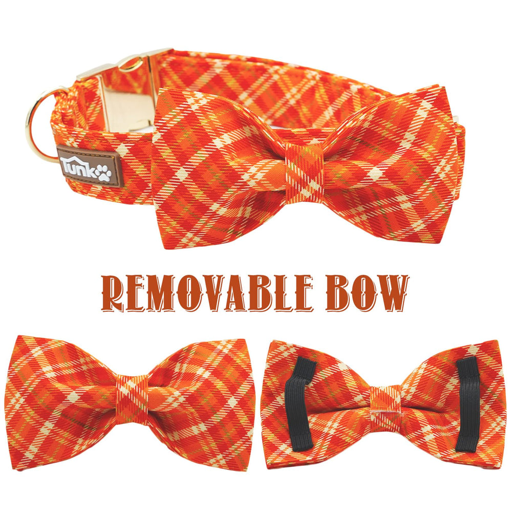 Collar Tunkoo con ajuste en algodón naranja, cómodo para paseos de otoño.