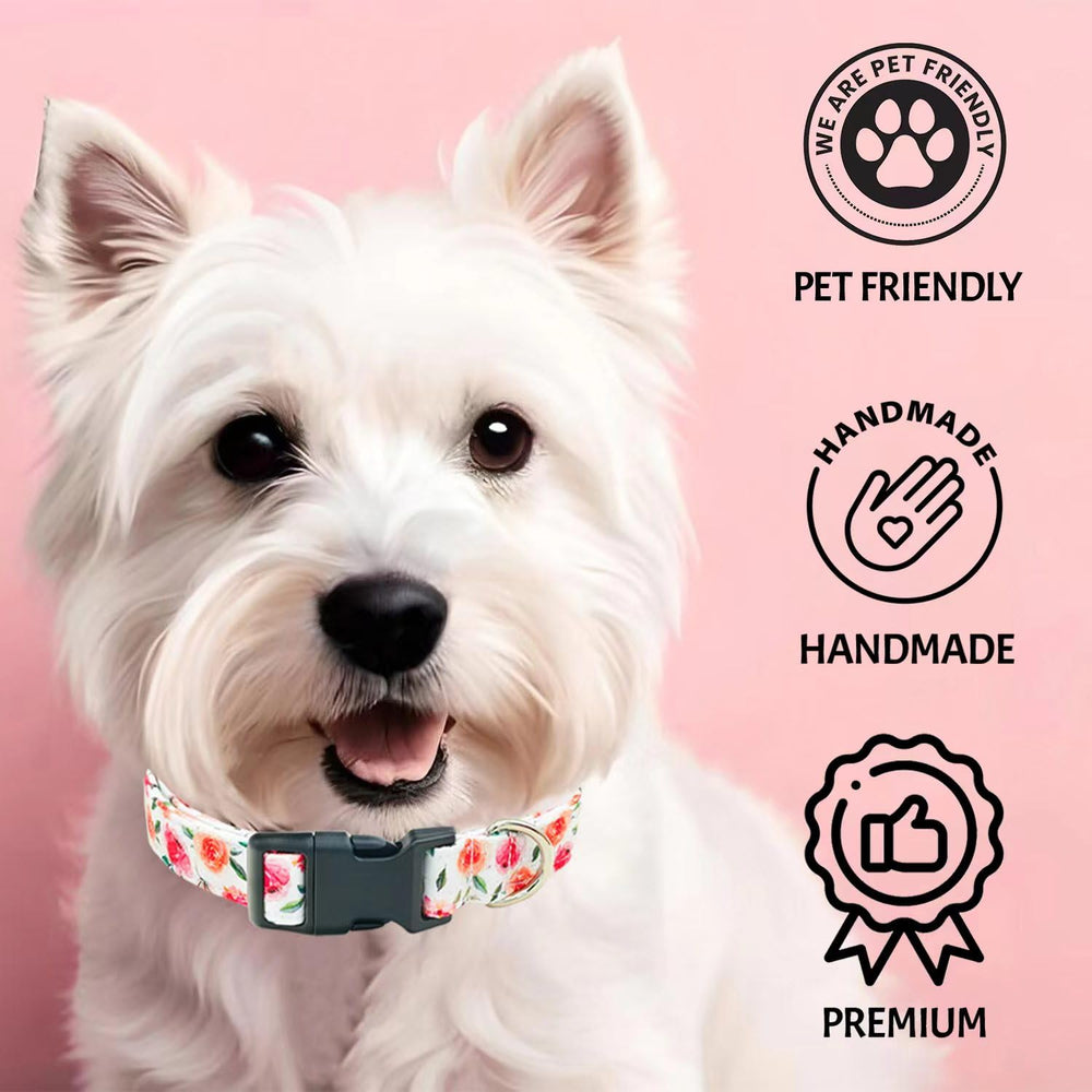 Collar Tunkoo de talla pequeña, ideal para yorkshire y chihuahua.