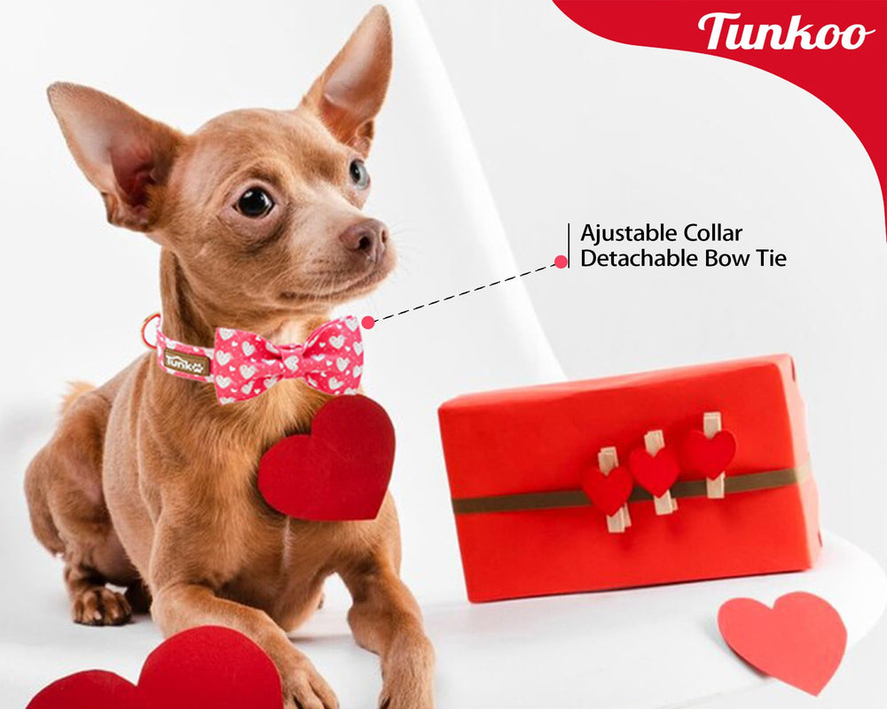 Tunkoo collar perro ajustable en tallas, seguro y cómodo durante el día.