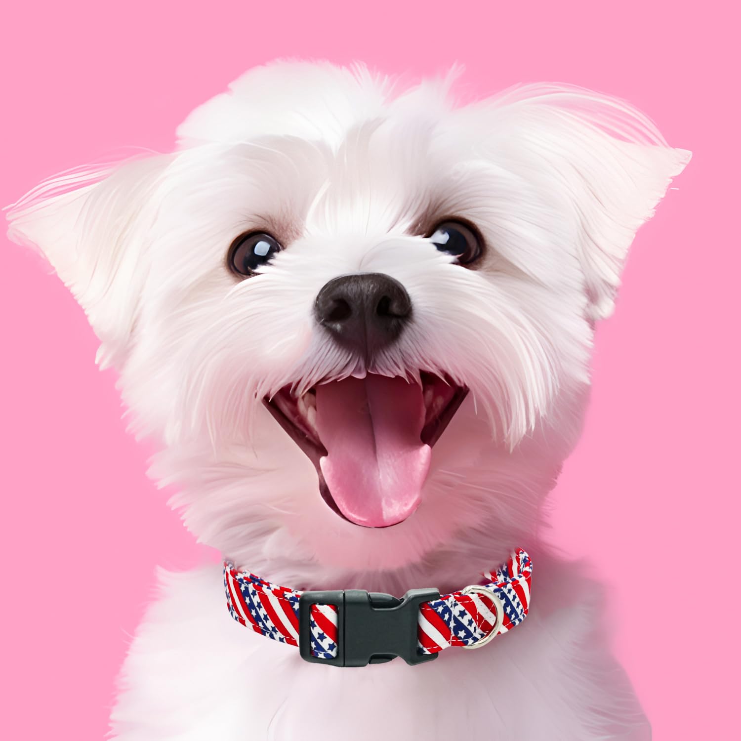 Longitud ajustable del collar Tunkoo para diferentes tamaños de perros