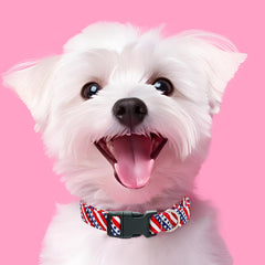 Longitud ajustable del collar Tunkoo para diferentes tamaños de perros