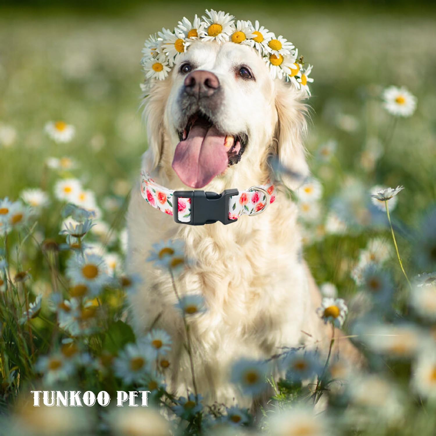 Collar Tunkoo con estilo festivo para ocasiones especiales y fotos.
