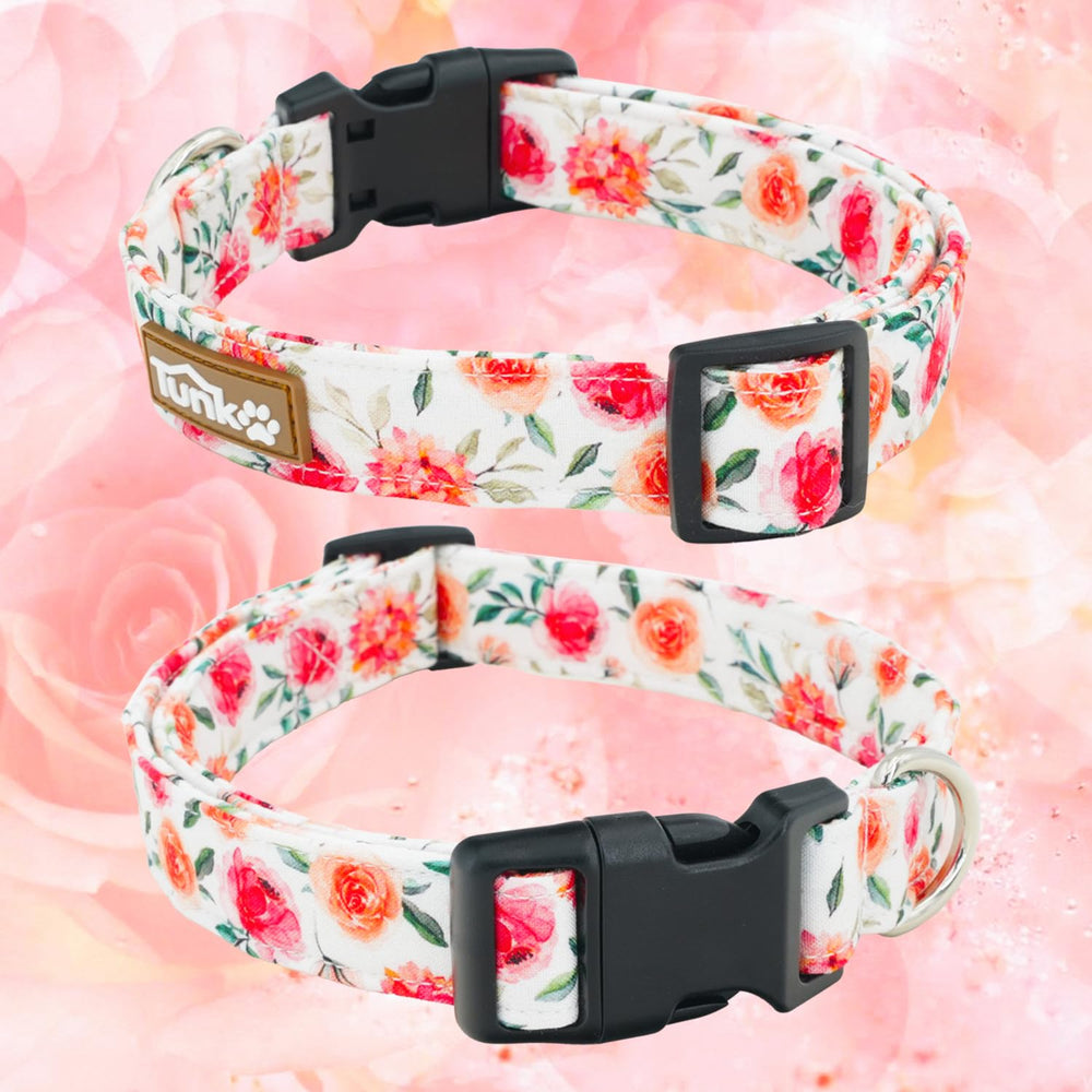 Collar Tunkoo con hebilla plástica ligera para colocación rápida.