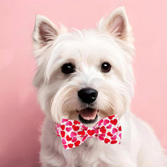 Collar Tunkoo de tallas ajustables para perros pequeños, medianos y grandes.