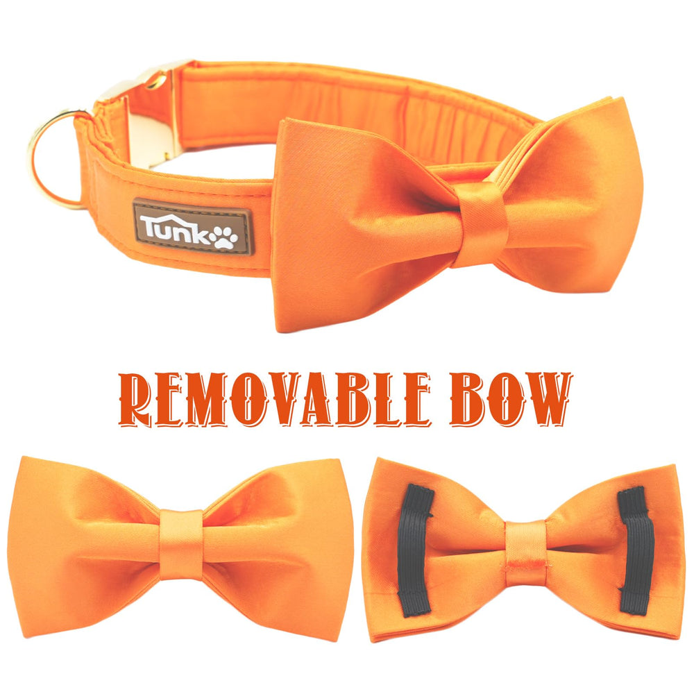 Collar Tunkoo seda naranja tamaño mediano, ideal para perros activos