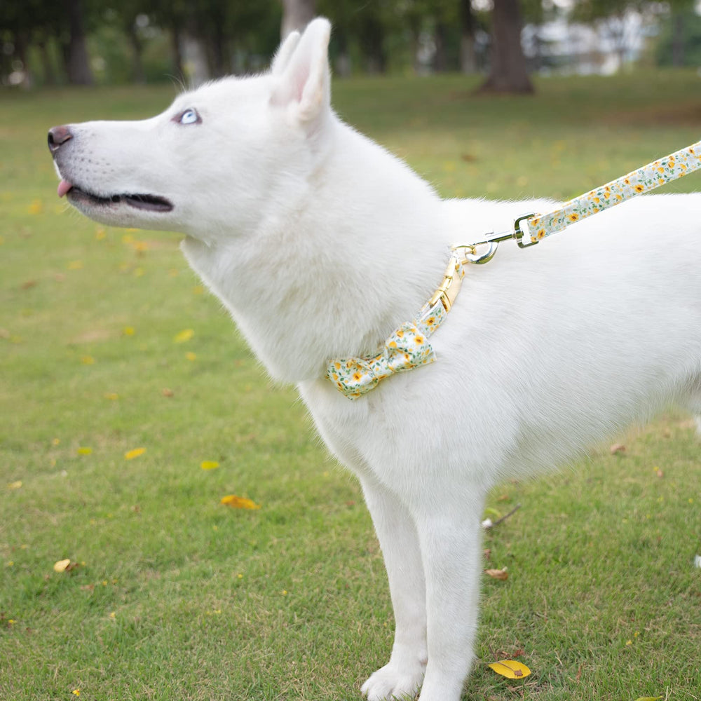 Tunkoo correa para perro floral margarita, anillo en D robusto para mayor durabilidad.
