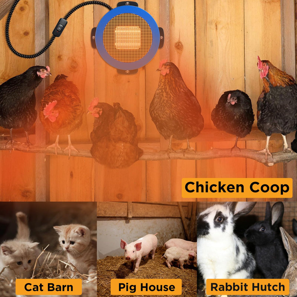 Diseño de pared TURBRO para coop de gallinas, versátil y práctico.