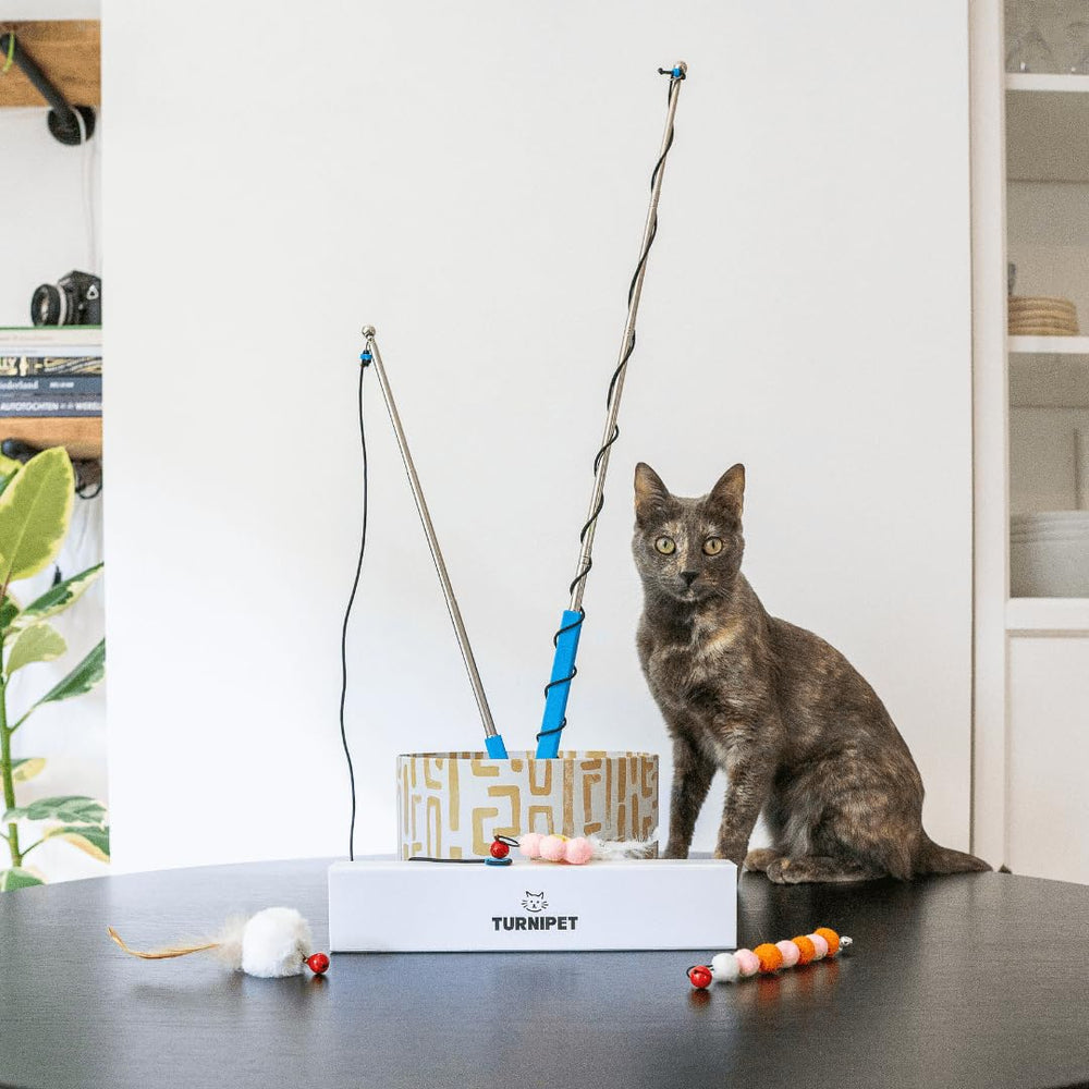 Juego interactivo Turnipet para interiores, ideal para gatitos curiosos y ejercicio.