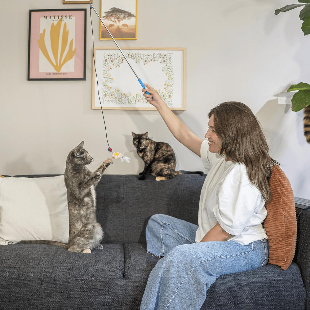 Envase reutilizable Turnipet, regalo práctico para amantes de gatos.