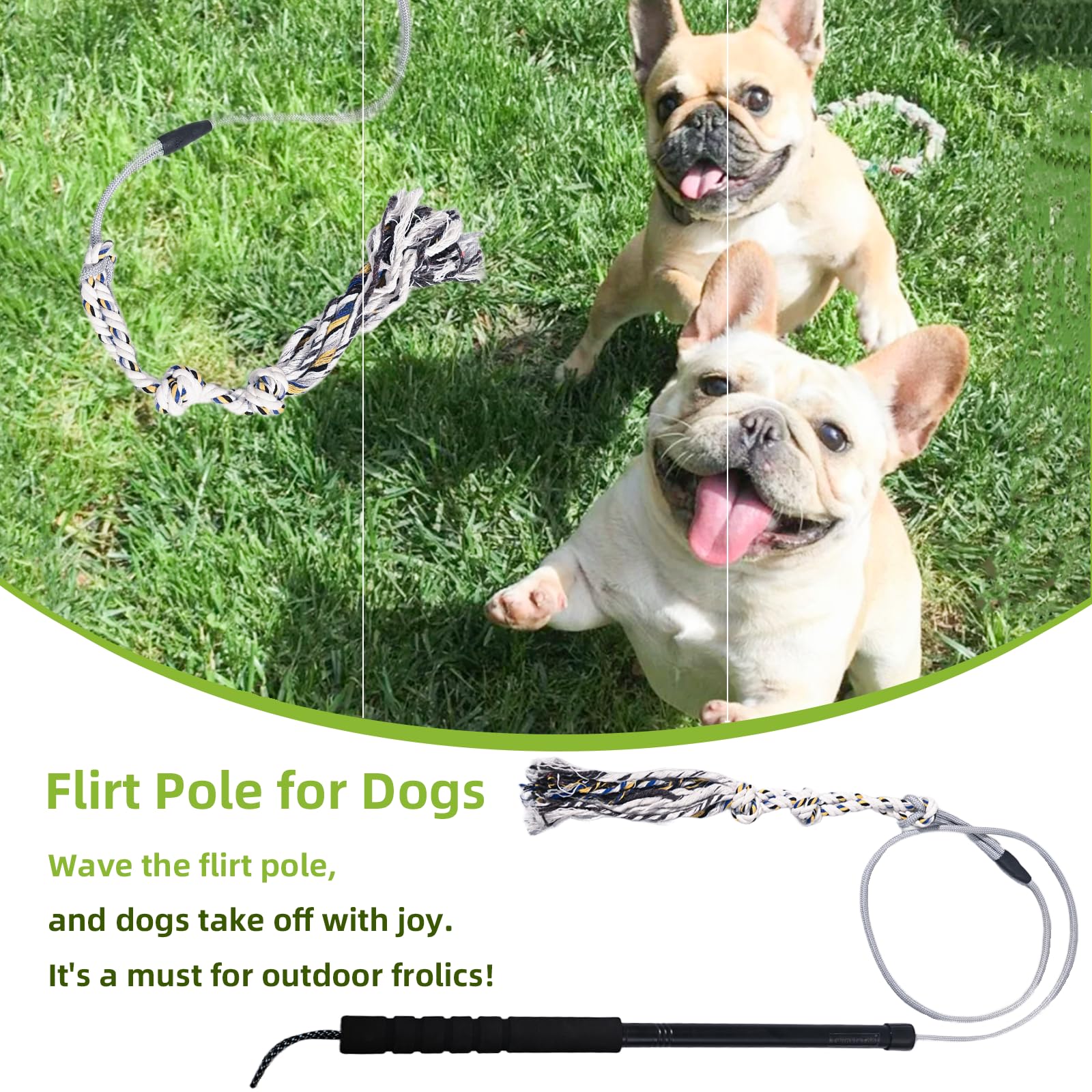 TwinkleTool Flirt Pole: refuerzo del vínculo mediante juego compartido y positivo.