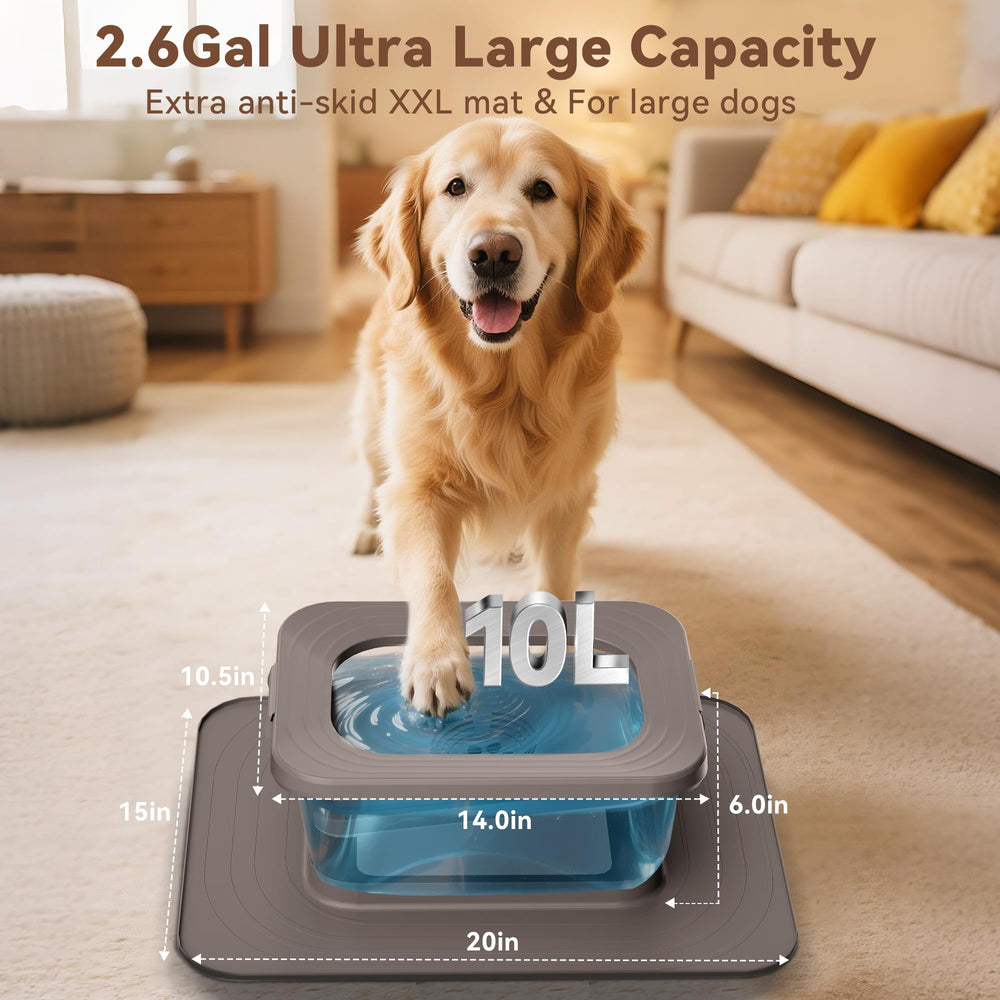 Twinsing tazón para perro con disco flotante reduce salpicaduras y mantiene el agua limpia
