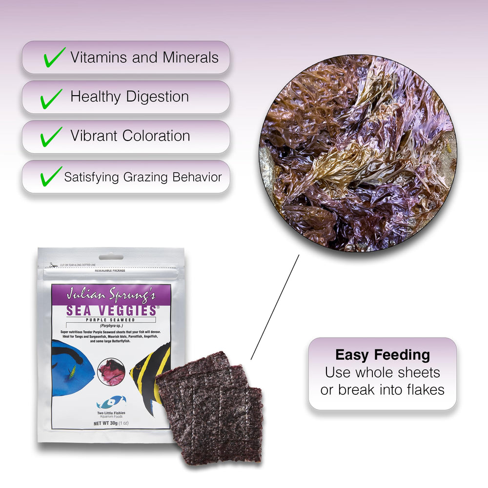 Two Little Fishies Sea Veg-Purple Seaweed, color morado natural para interés visual en tanques.