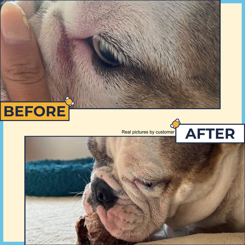 Two Pets and a Half crema antiirritante para piel seca de bulldog