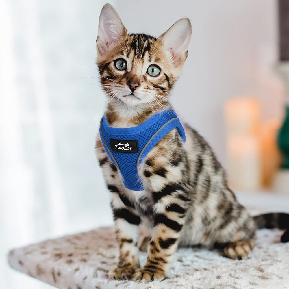Apto para mascotas muy pequeñas en paseos al exterior.