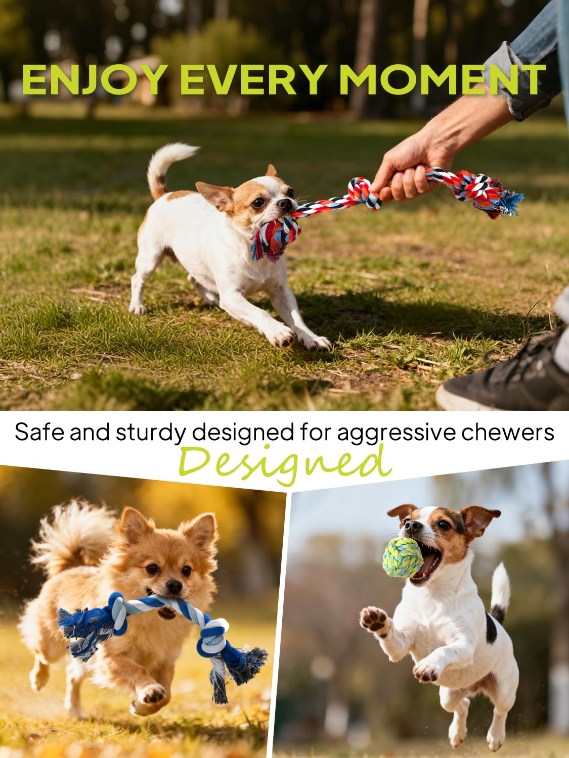 TwoEar juguete-cuerda-entrenamiento-perro facilita juegos de tiro en interiores
