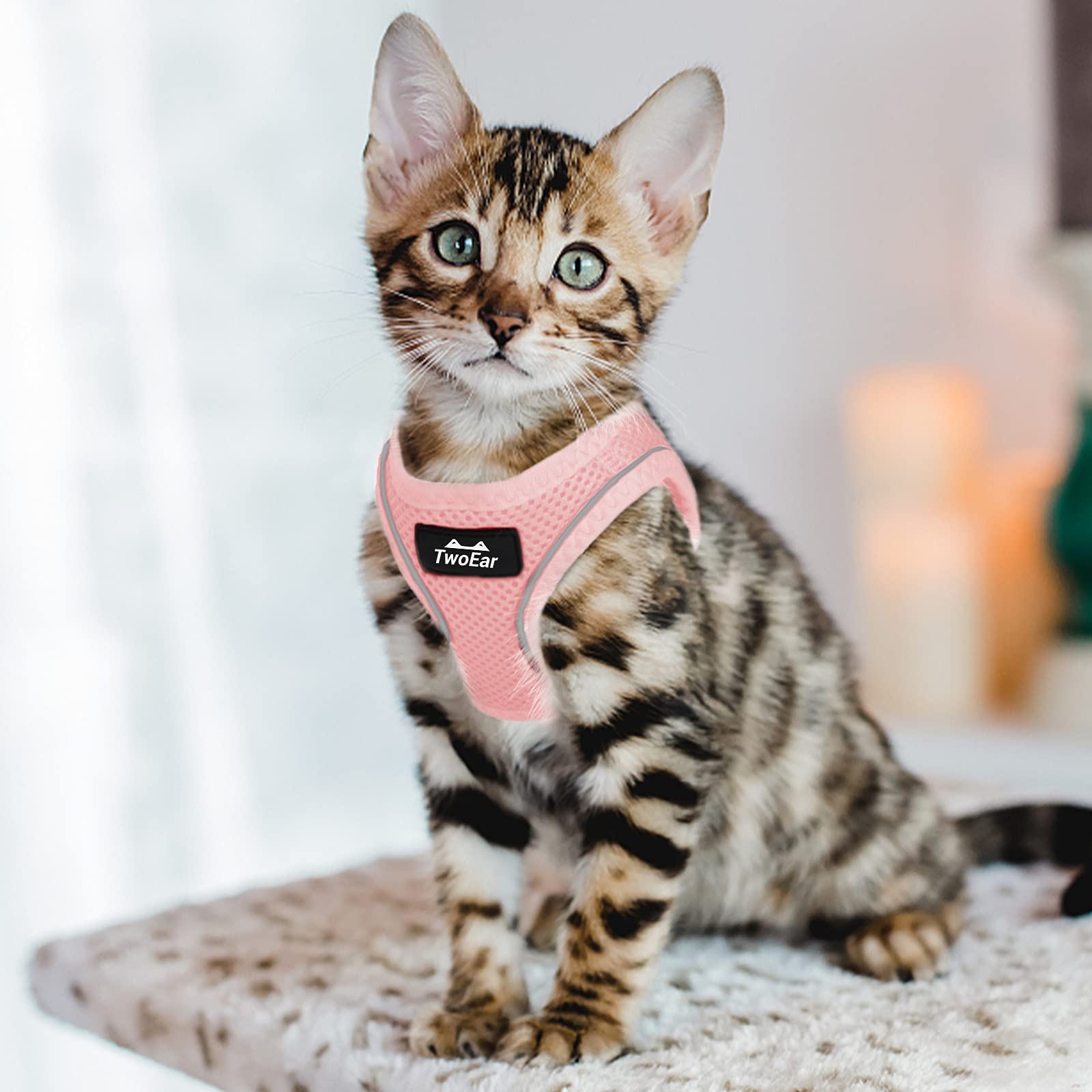 TwoEar talla XS, diseño ligero para mascotas muy pequeñas.