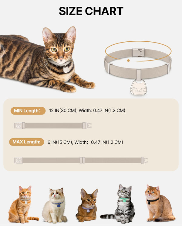 Typecase collar-resistente-arañazos-agua: resistente a arañazos y a salpicaduras.