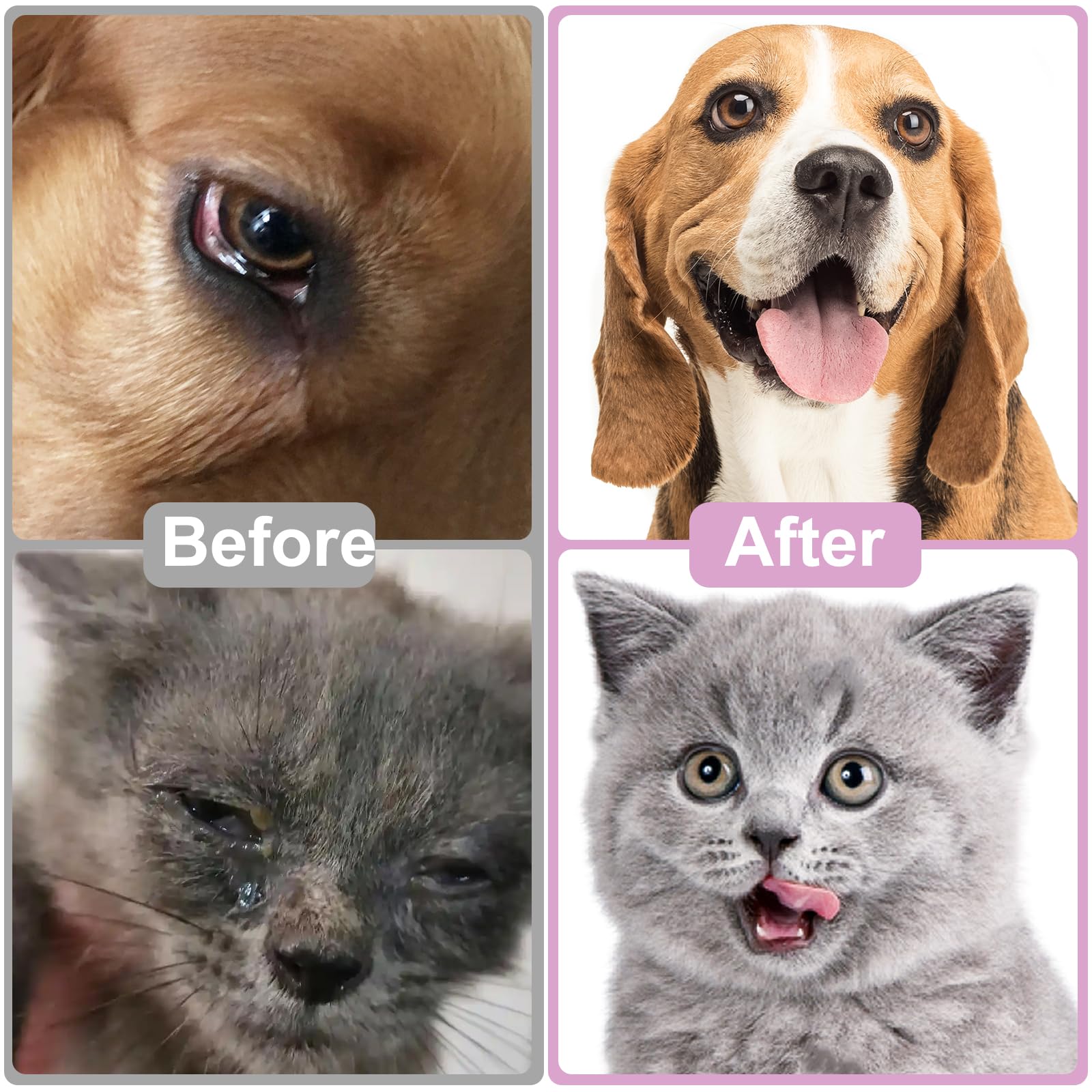 Tyuyuio cuidado ocular seguro para perros, gatos y otros roedores.