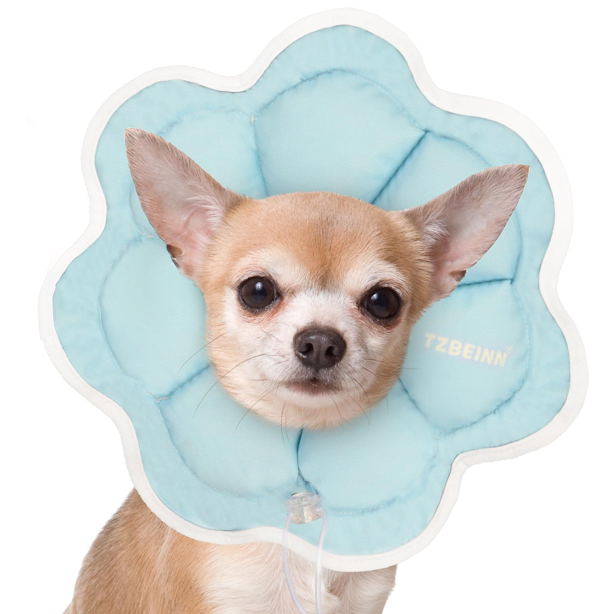 TZBEINN cono suave para perros pequeños, vista frontal, comodidad durante la recuperación
