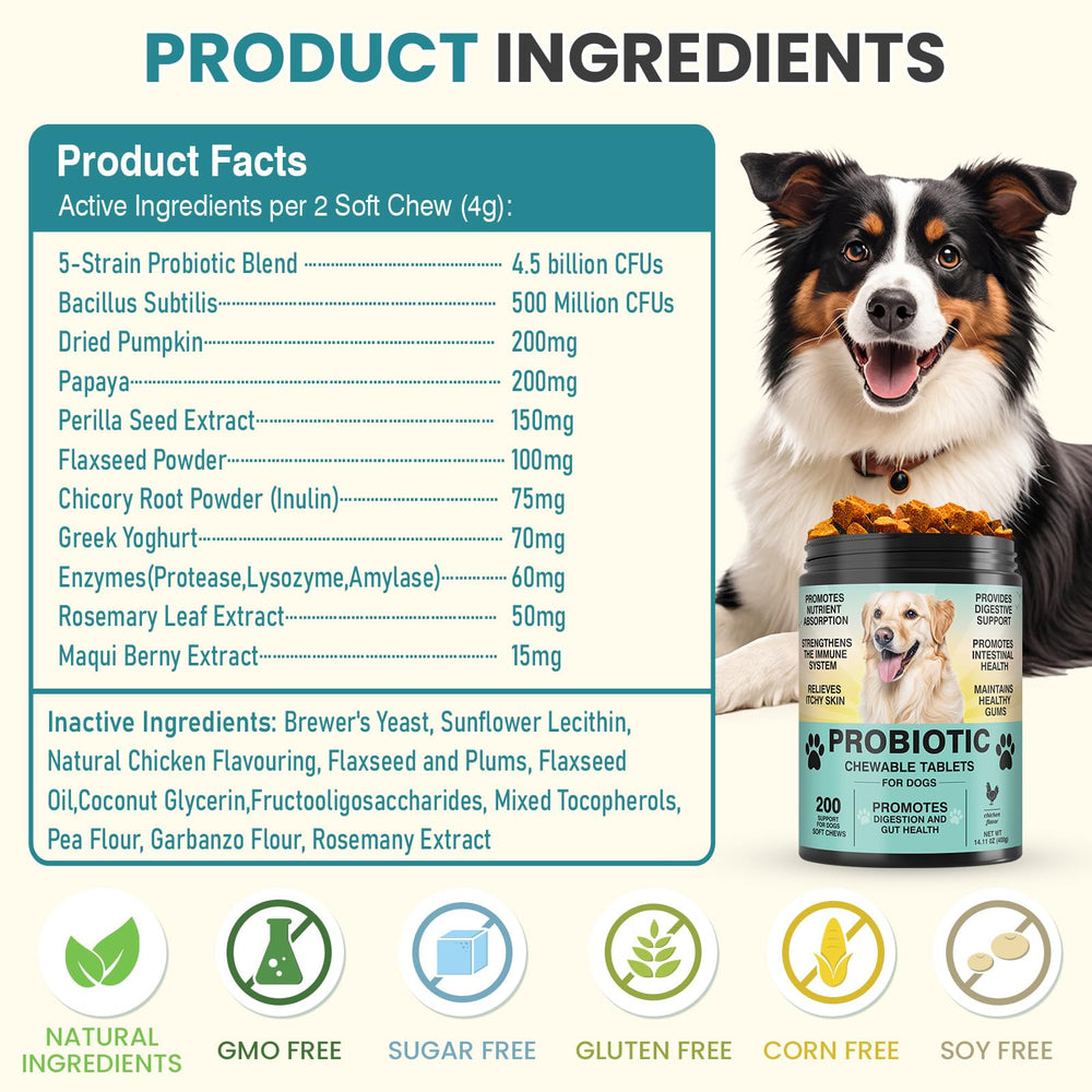 TzzyiC probióticos para perros, apoyo diario de energía y vitalidad