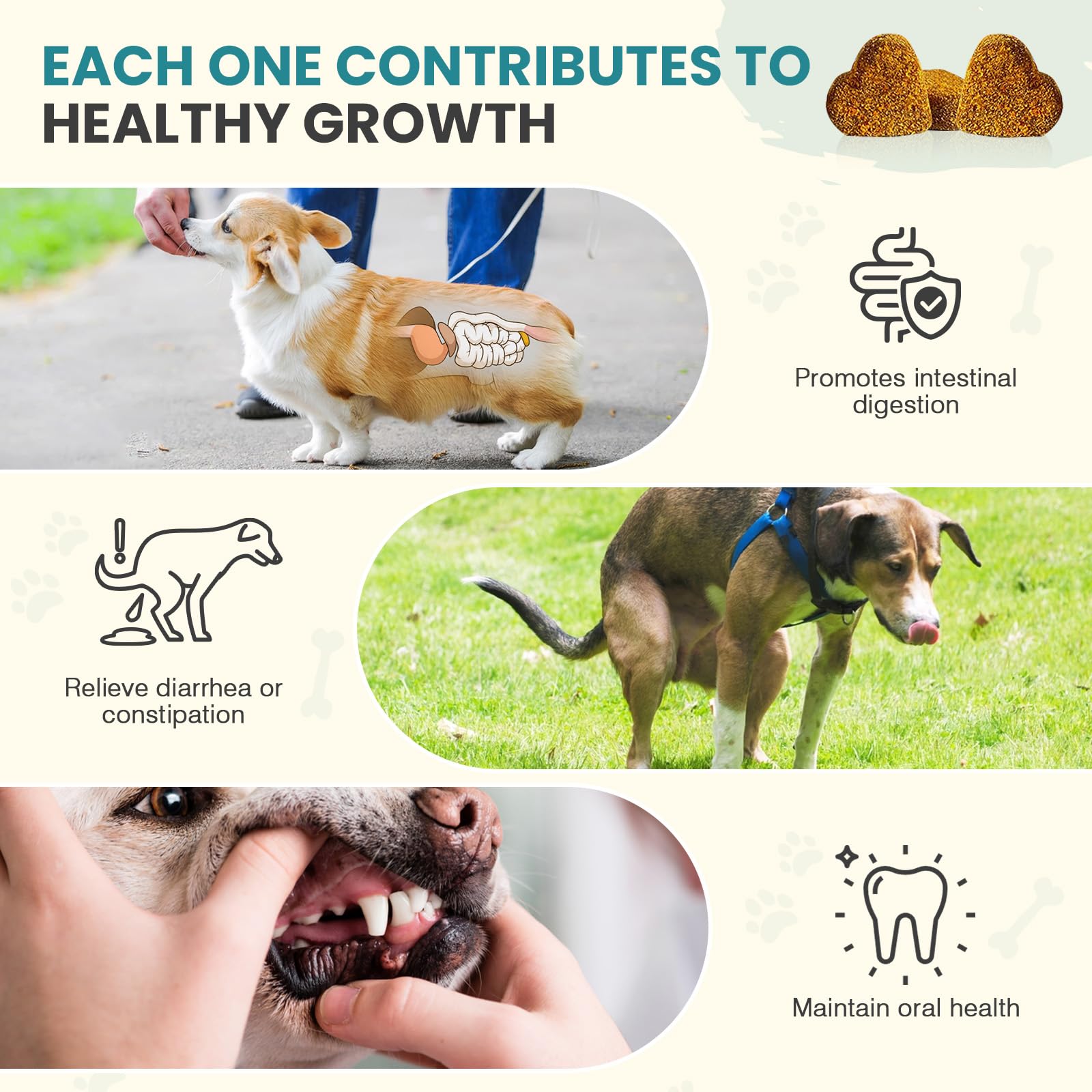 TzzyiC probióticos para perros, tabletas digestivas para la salud intestinal