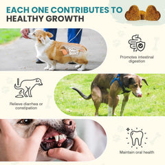 TzzyiC probióticos para perros, tabletas digestivas para la salud intestinal