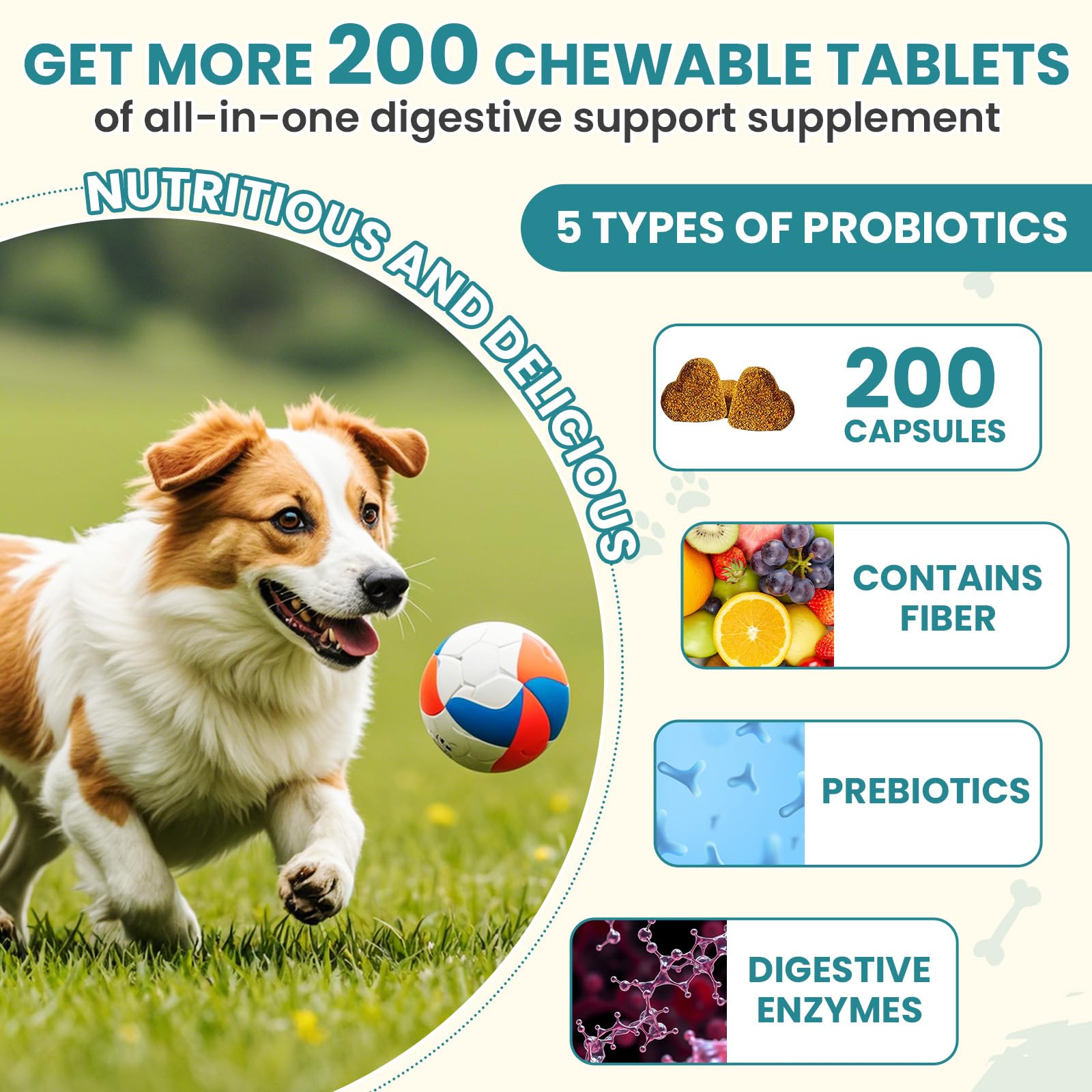 TzzyiC probióticos para perros, envase con tabletas digestivas
