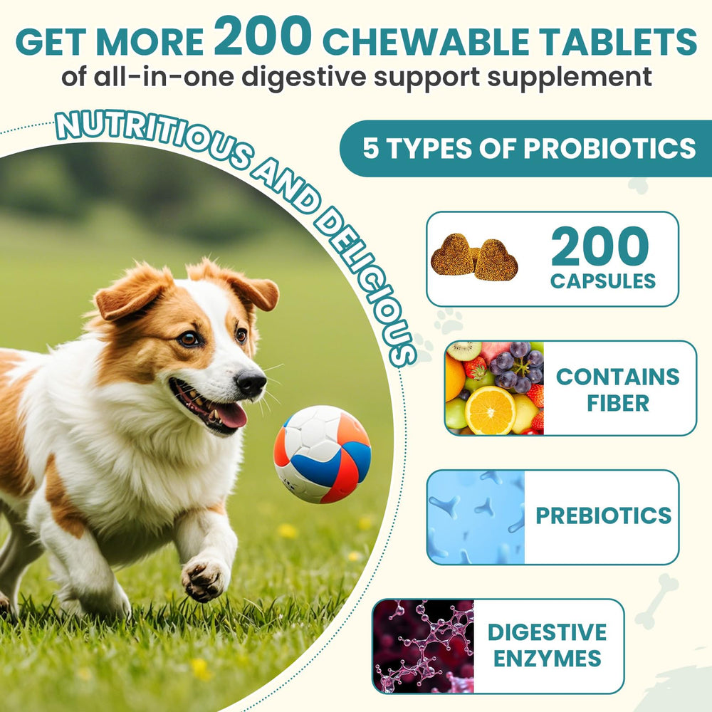 TzzyiC probióticos para perros, envase con tabletas digestivas