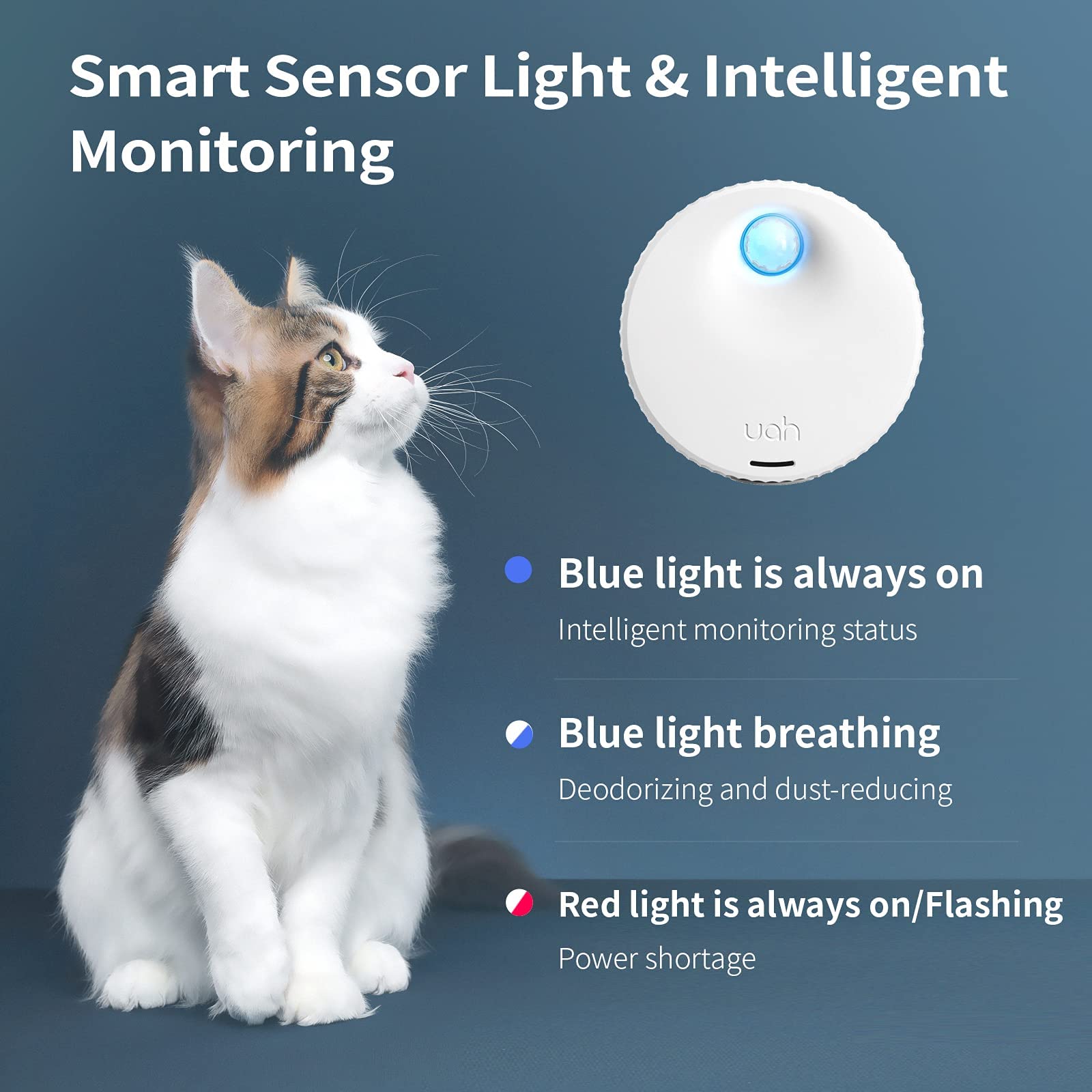 Tapa de uahpet se apaga automaticamente al acercarse el gato.
