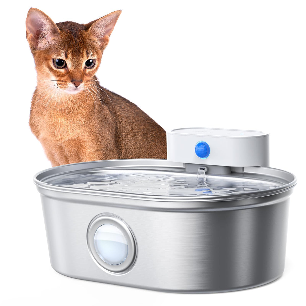 Bebedero para gatos Uahpet con cuerpo de acero inoxidable y diseño duradero.