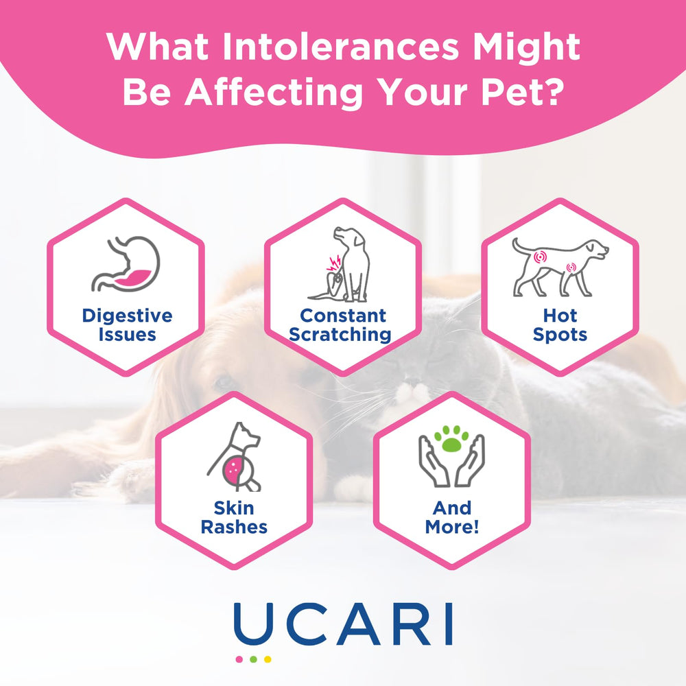 UCARI Para gatos y perros: análisis enfocado en su bienestar diario.