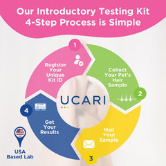 UCARI Proceso de prueba casera: método sin dolor para recolectar la muestra.