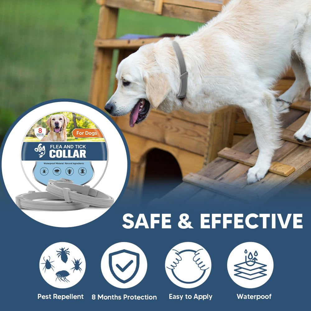 UDyoude collar antipulgas para perro grande listo para actividades diarias