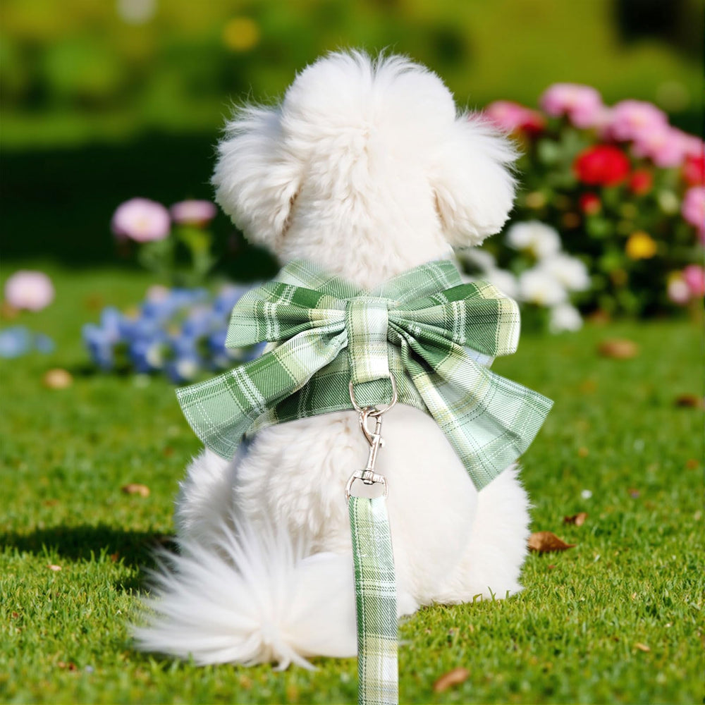 Conjunto elegante de arnés y correa para mascotas femeninas pequeñas, estilo cuadros verde