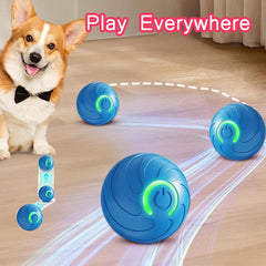 Ugdurwp con luz LED para juego nocturno de perros, fácil de localizar y emocionante.