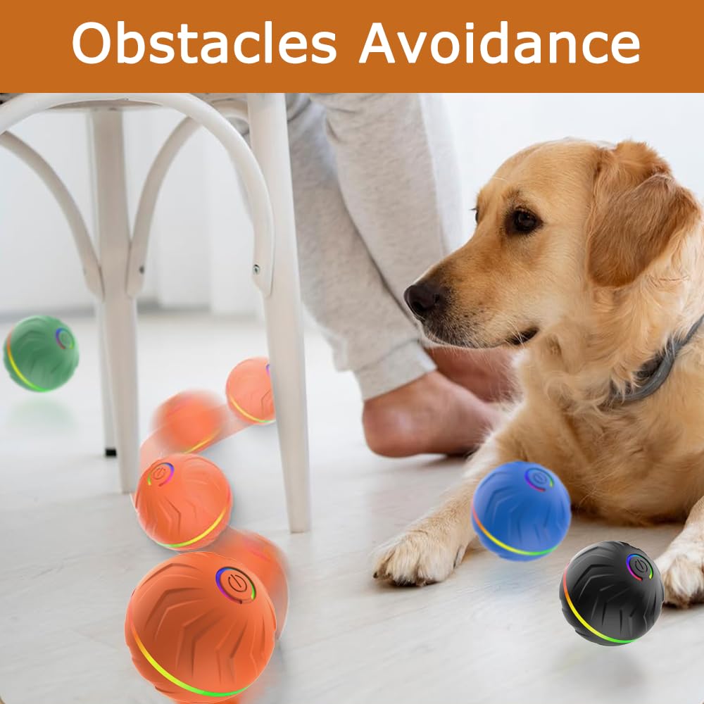 Regalo ideal para dueños y perros, perfecto para fiestas o cumpleaños.
