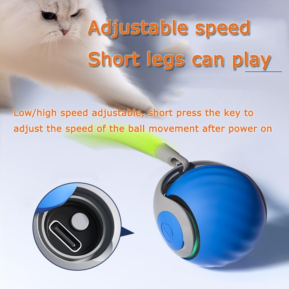 Speedy 2.0 bola interactiva con pluma para perseguir.