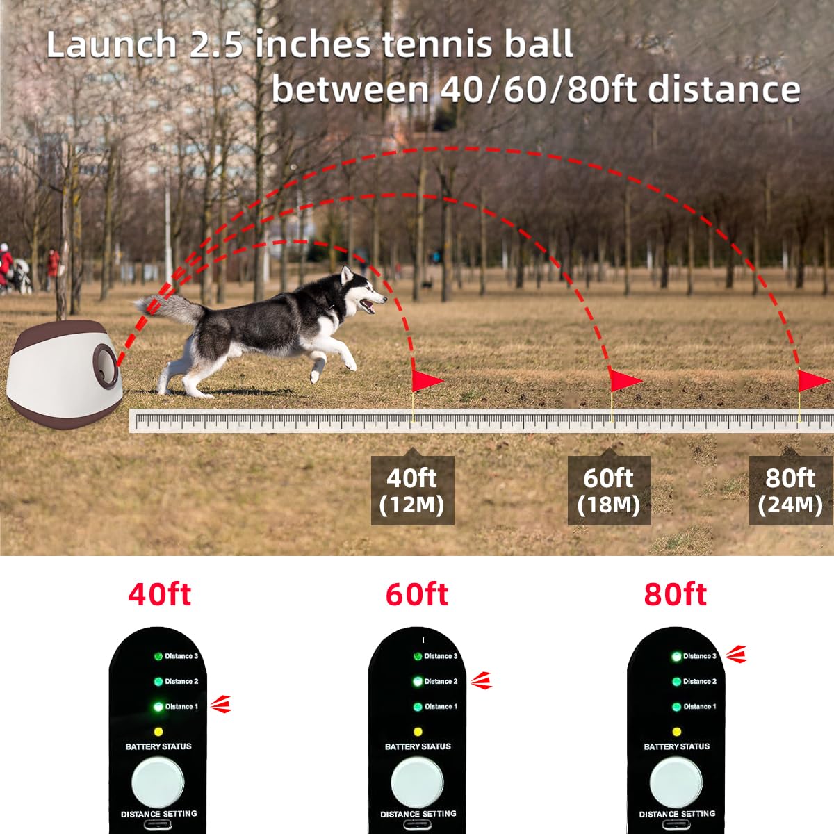 Diseño extra grande de AutoDog para perros grandes.