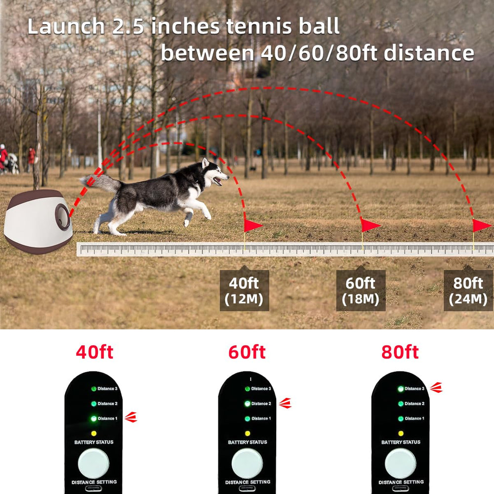 Diseño extra grande de AutoDog para perros grandes.