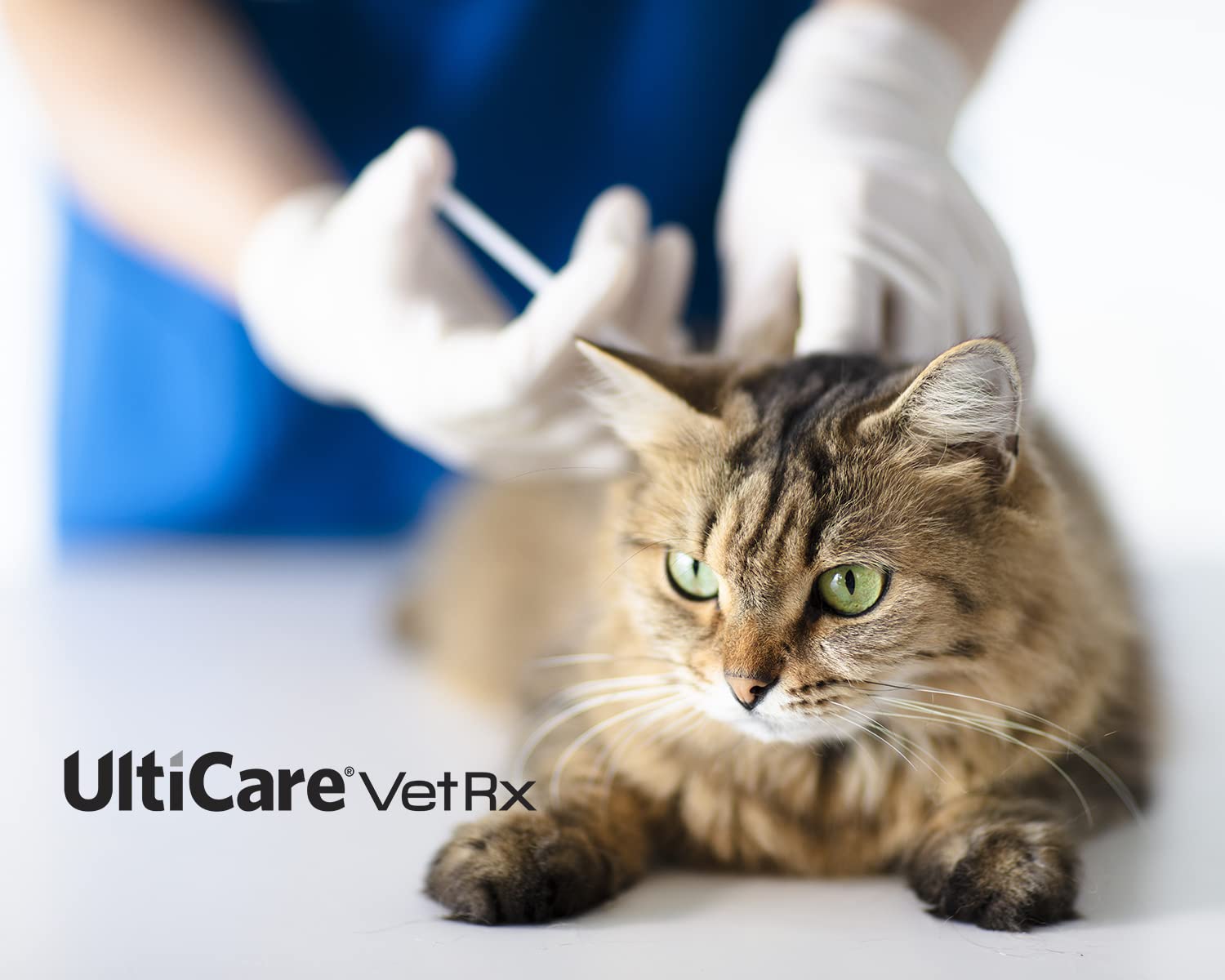 UltiCare VetRx U-100 dosificación precisa con marcación visible.