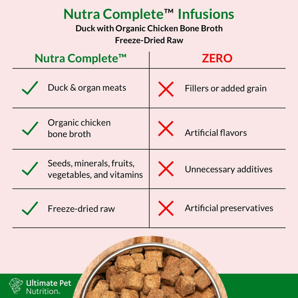Perro disfruta la comida enriquecida con Nutra Complete Infusions