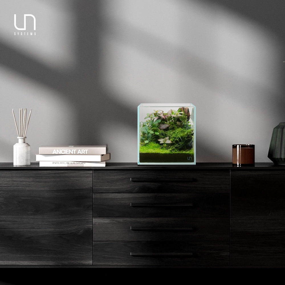 UNS diseño con proporción oro para equilibrio visual