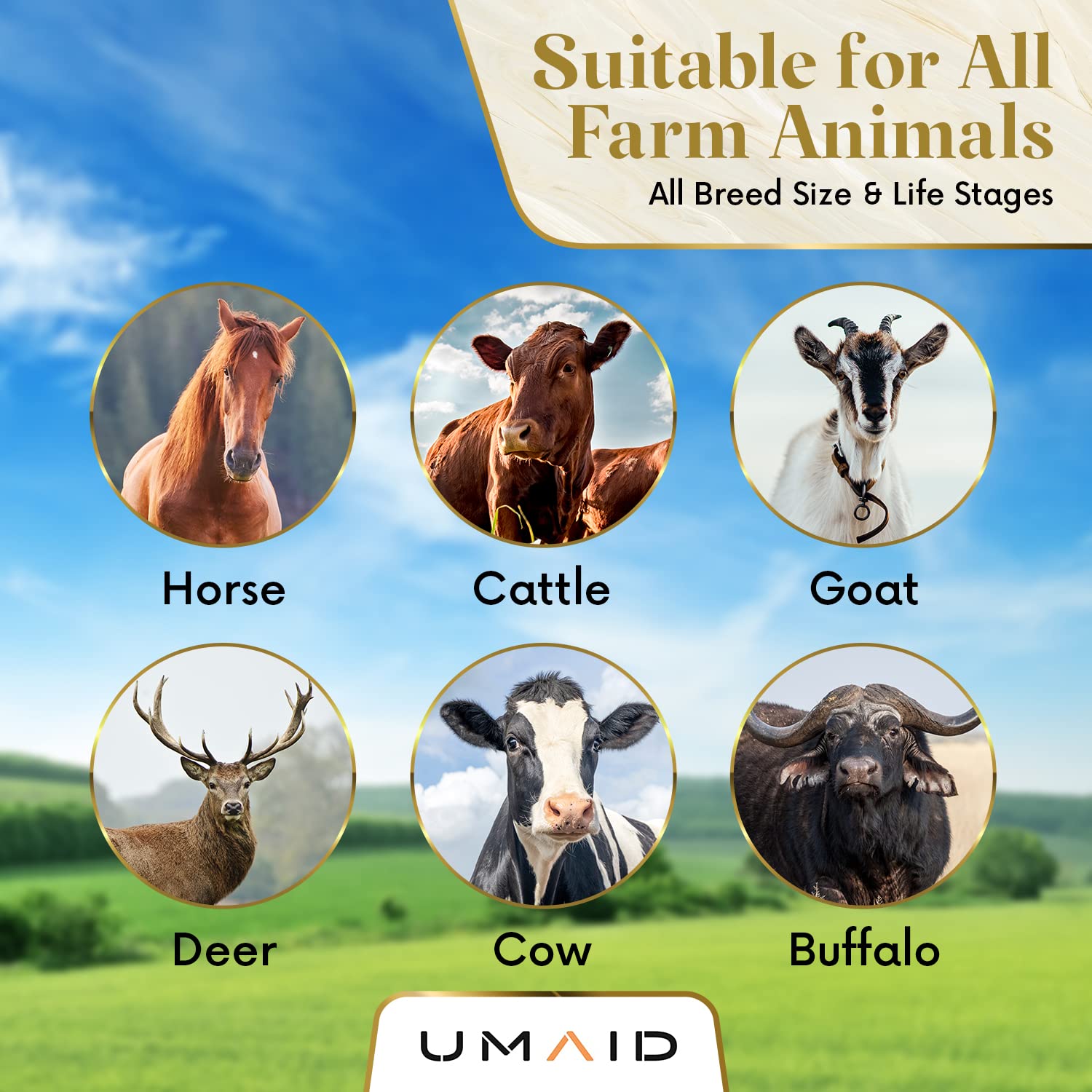 UMAID Sal Himalaya en cuerda para gatos: premio mineral natural