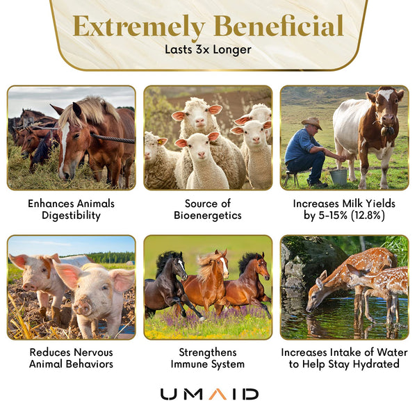 UMAID Beneficio mineral diario para caballos, ganado y mascotas.
