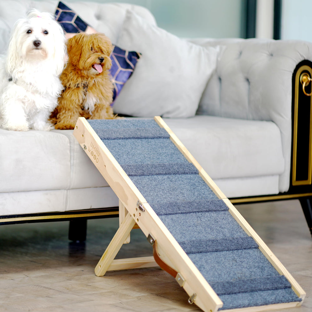 UMHUWOOD rampa plegable y portátil para viajes con mascotas