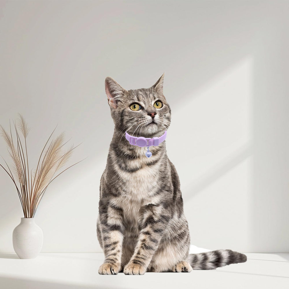 Umicclits collar para gato color rosa, visible y práctico para uso diario.