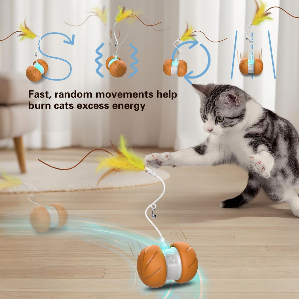 umosis Juguete Gato Robot Movil: entretenimiento y ejercicio regular