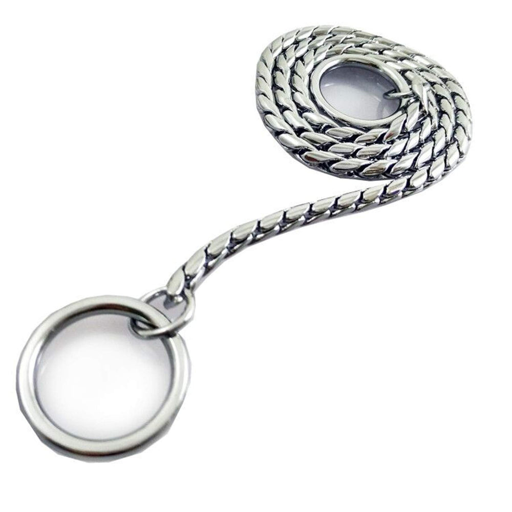 Umysky Dog P-Chain collar cromado, diseño elegante y duradero para paseos.