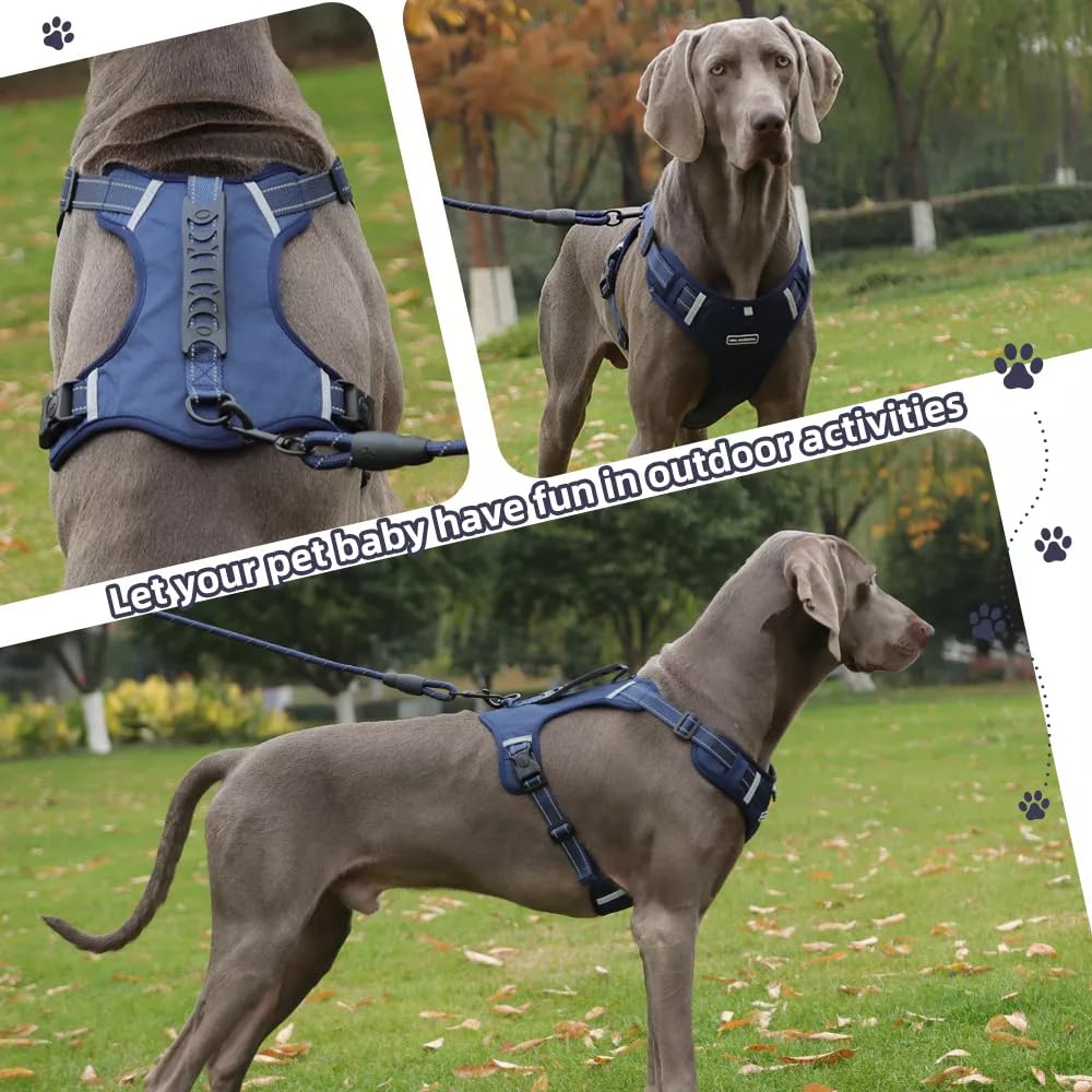 Arnés cómodo de UNA MASCOTA para entrenamiento y caminatas.